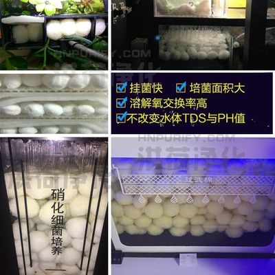 龍魚tds值代表什么：龍魚tds800的影響及應(yīng)對措施