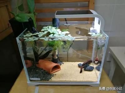森森魚缸售后維修：森森魚缸售后服務