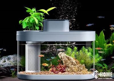 魚缸生態系統的清洗方法和注意事項和注意事項和注意事項：畫法幾何魚缸水泵清洗方法