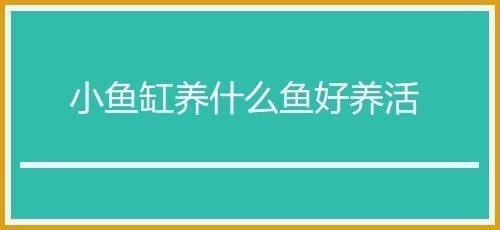 南海市羅村羅湖金龍水族器材店（羅村哪里有金魚買）