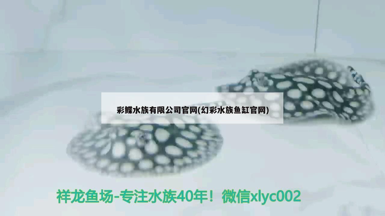 銀龍魚和什么魚養好看（銀龍和什么魚一起養）