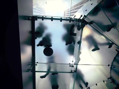 魚缸gh高怎么辦：生物調控降低gh的具體操作