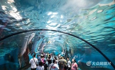 濟南水族館：山東濟南水族館門票價格開放時間開放時間開放時間