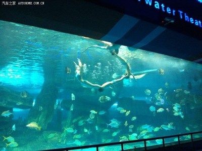 濟南水族館：山東濟南水族館門票價格開放時間開放時間開放時間