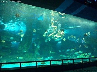 濟南水族館：山東濟南水族館門票價格開放時間開放時間開放時間