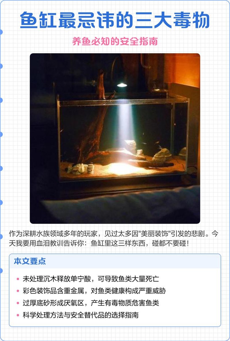 龍魚缸寬70cm最忌三種東西