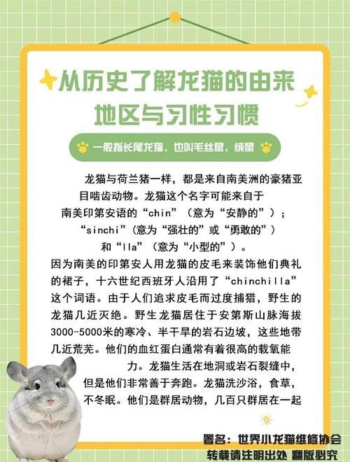 如何判斷龍貓和貓是否適應(yīng)共存？
