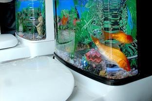 十大最旺家的客廳魚