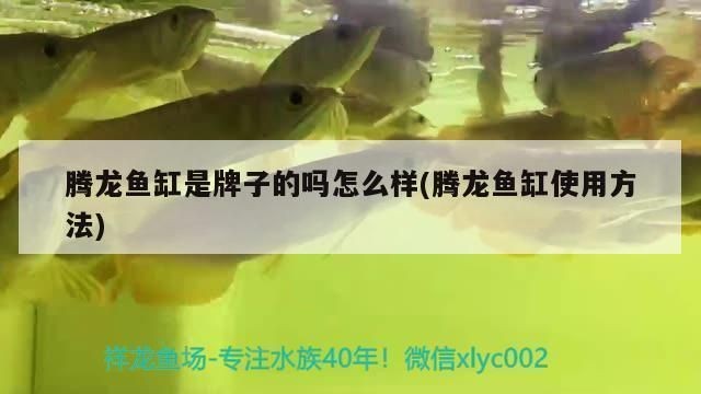 佳寶魚缸說明書下載：佳寶魚缸說明書怎么下載