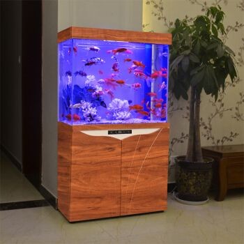 魚缸品牌排名前十的品牌：2024年魚缸品牌排名前十