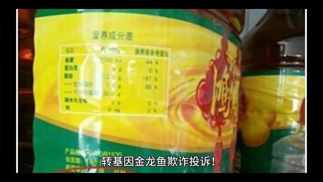 金龍魚售后服務(wù)怎么樣 金龍魚售后服務(wù)怎么樣 龍魚百科 第1張