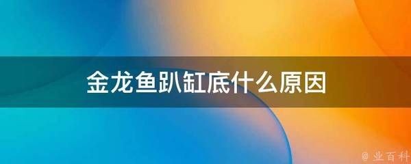 金龍魚為什么在魚缸底下游：金龍魚趴缸底可能由多種原因引起