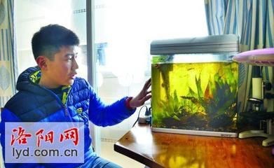 海陽市愛鱗魚缸零售店：海陽市養魚文化探究海陽市養魚文化探究海陽市養魚文化