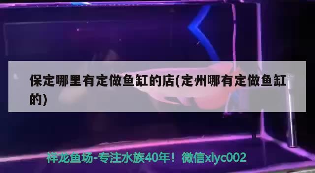 保定哪里有定做魚缸的店(定州哪有定做魚缸的) 保定哪里有定做魚缸的店(定州哪有定做魚缸的) 全國水族館企業(yè)名錄 第1張