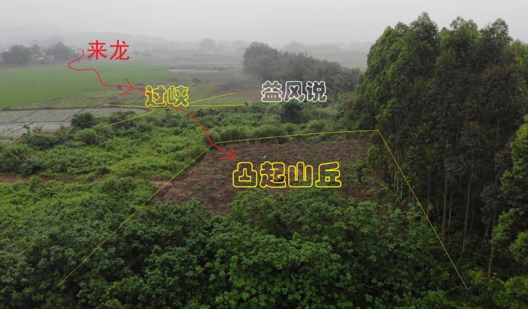 給我一些具體的龍脈風水圖解實例