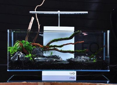 威海魚缸生產廠家排名：威海魚缸價格區間查詢