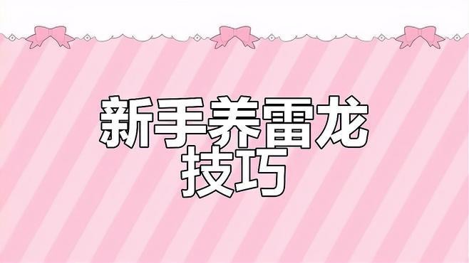 哪些品種的雷龍魚適合新手？