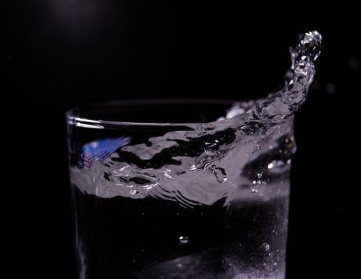 金龍魚缸多久換一次水比較好，金龍魚缸換水的頻率需要根據具體情況靈活調整，金龍魚缸換水頻率