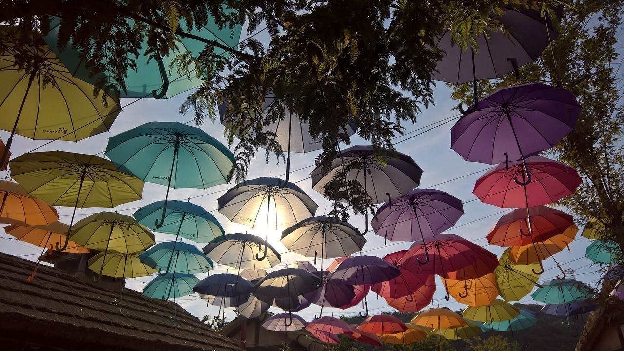 南京市雨花臺區森森園藝中心（南京森森幼兒園怎么樣?）