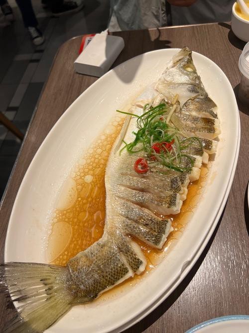 魚缸過濾增氧機要一直開著嗎（魚缸過濾增氧機需要一直開著嗎）