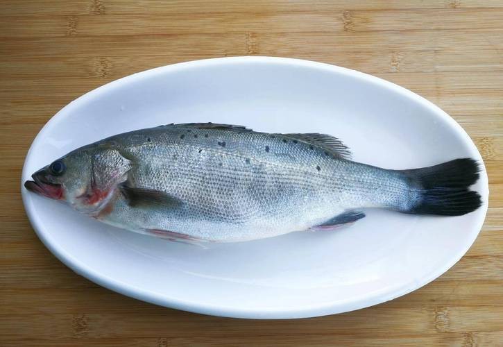 魚缸過濾增氧機要一直開著嗎（魚缸過濾增氧機需要一直開著嗎）