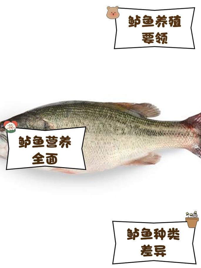 魚缸過濾增氧機要一直開著嗎（魚缸過濾增氧機需要一直開著嗎）