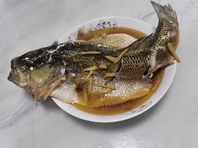 魚缸過濾增氧機要一直開著嗎（魚缸過濾增氧機需要一直開著嗎）