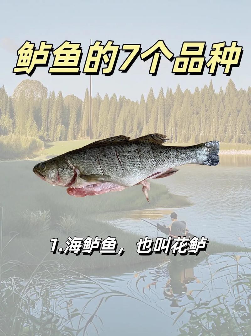魚缸過濾增氧機要一直開著嗎（魚缸過濾增氧機需要一直開著嗎）