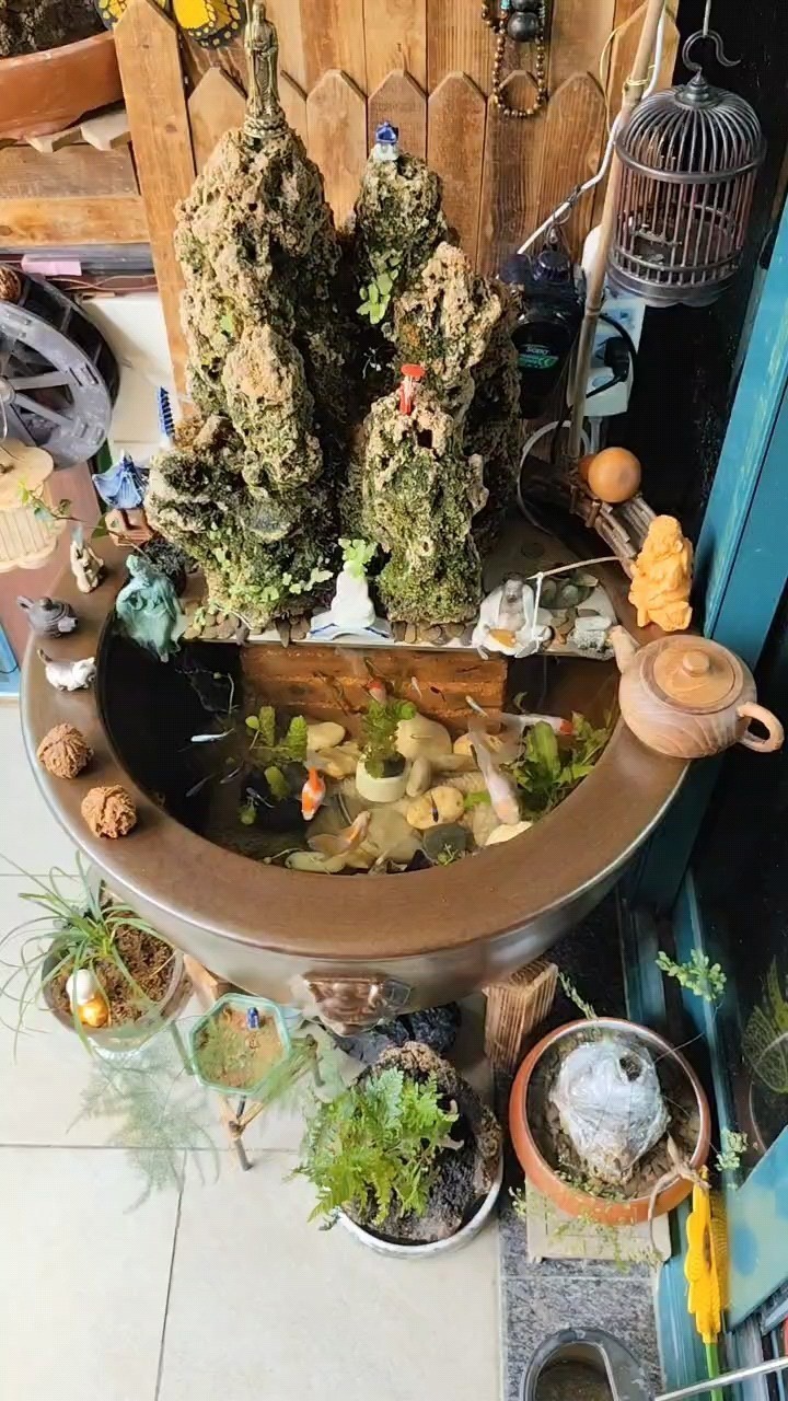 好運錦鯉