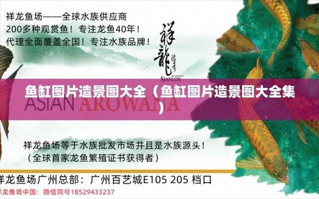 魚缸圖片真實大全