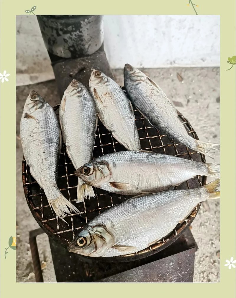 青島魚圖片大全大圖2023年最新圖片