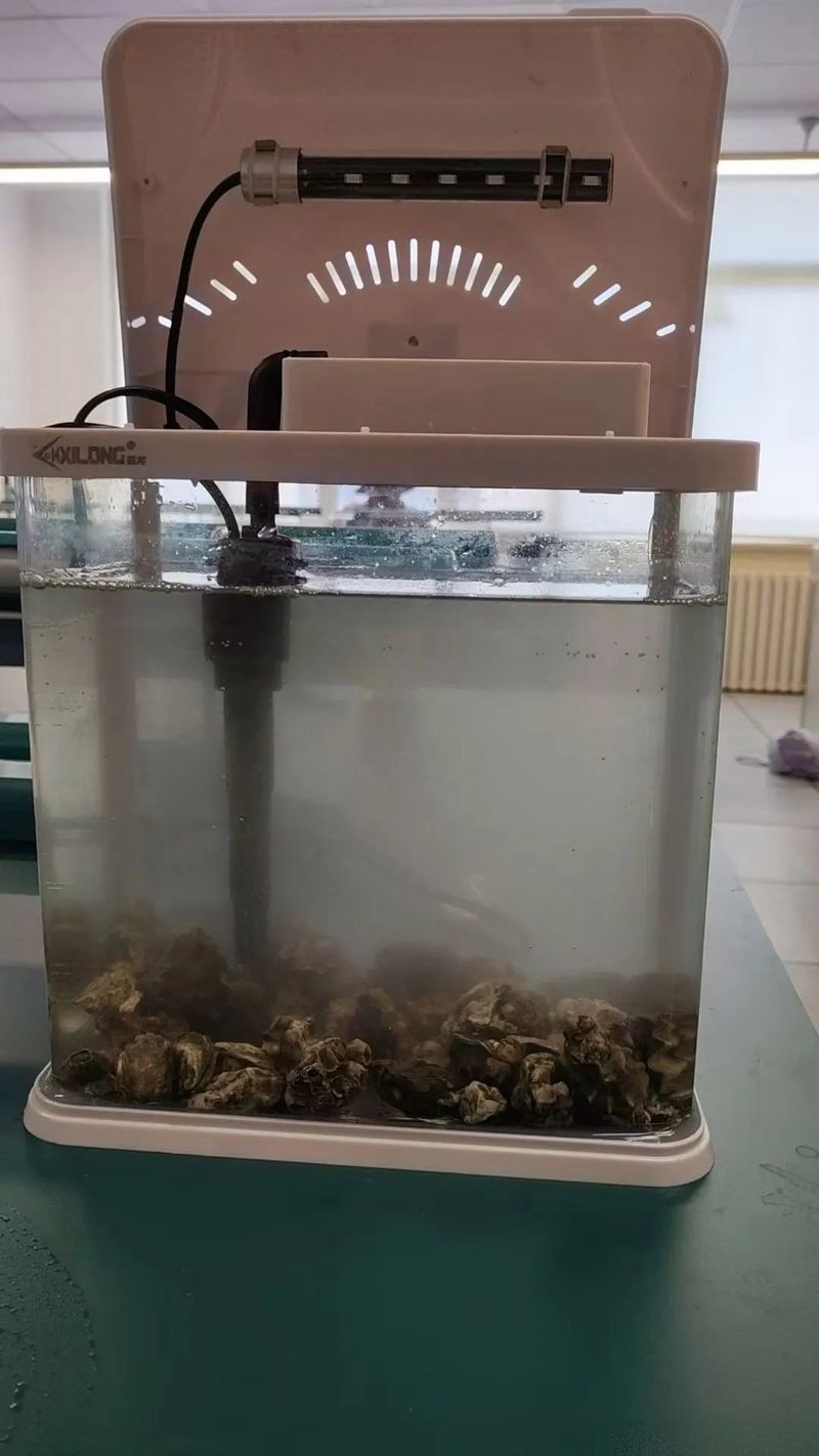 青島魚圖片大全大圖2023年最新圖片