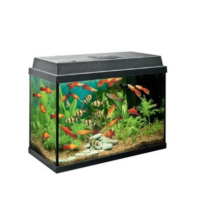 德國黑鉆魚缸專賣店是消費者購買高質量魚缸的良好品牌形象：如何維護德國黑鉆魚缸專賣店