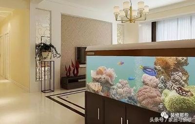 魚缸能放在正對門口的地方嗎，魚缸擺放的最佳位置如何選擇適合室內養(yǎng)的魚缸防震措施