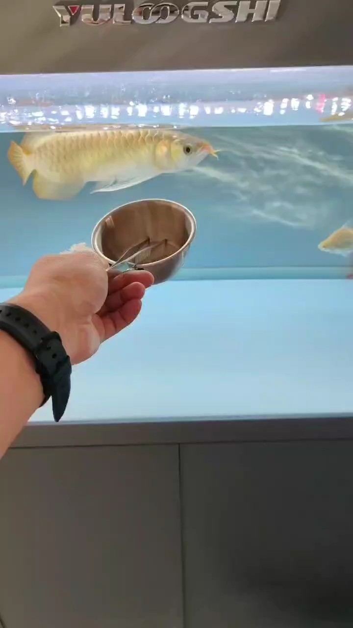 到家13天的視頻