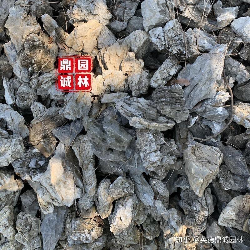 龍魚(yú)缸造景圖片大全 龍魚(yú)缸造景圖片大全 龍魚(yú)論壇 第24張