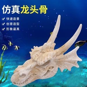 三角龍魚能活多久（三角龍魚的壽命受到哪些因素的影響？）