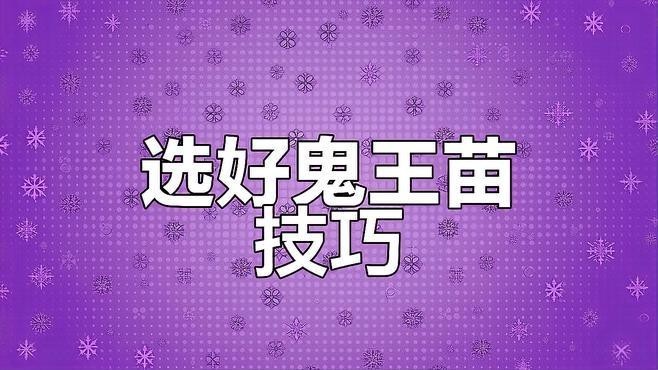 鬼王雷龍魚苗怎么選