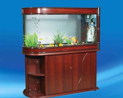 漢川賣魚缸的具體價格是多少？：漢川賣魚缸的具體價格