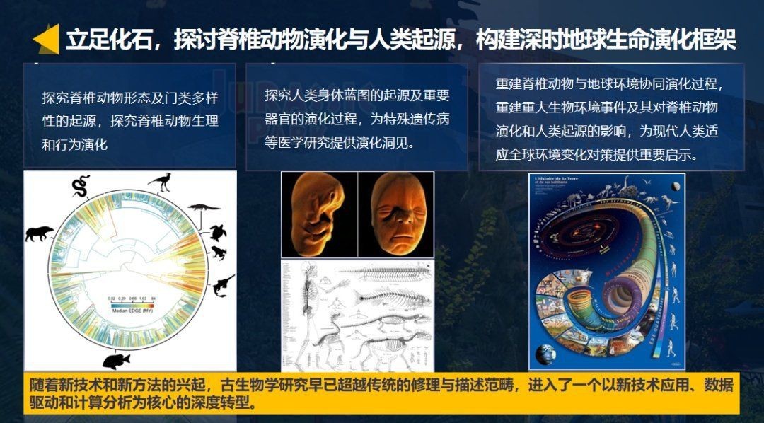 和恐龍一個時代的魚