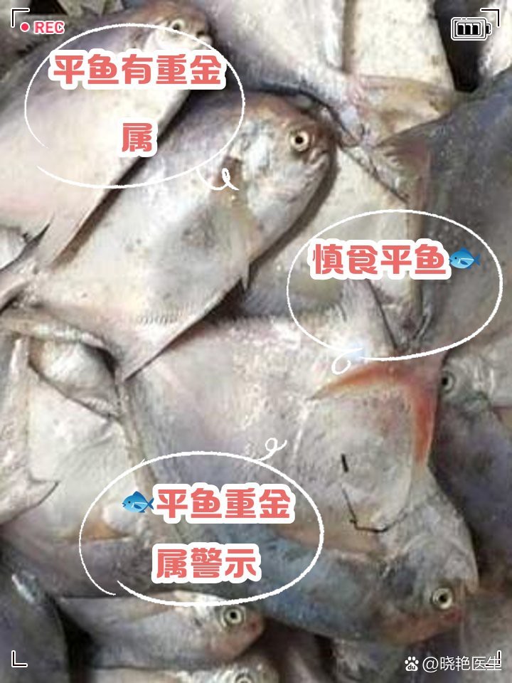 平克魚為何盡量少吃