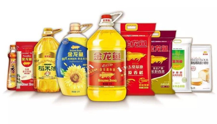 養紅龍魚的注意事項有哪些視頻大全（養紅龍魚的注意事項有哪些視頻大全圖片）