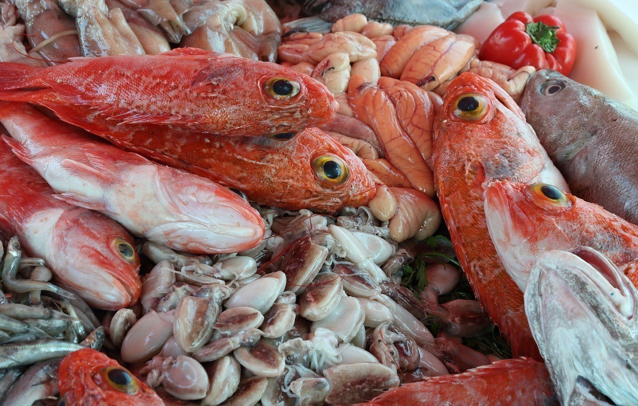 銀龍魚掉眼治療：銀龍魚掉眼是什么意思