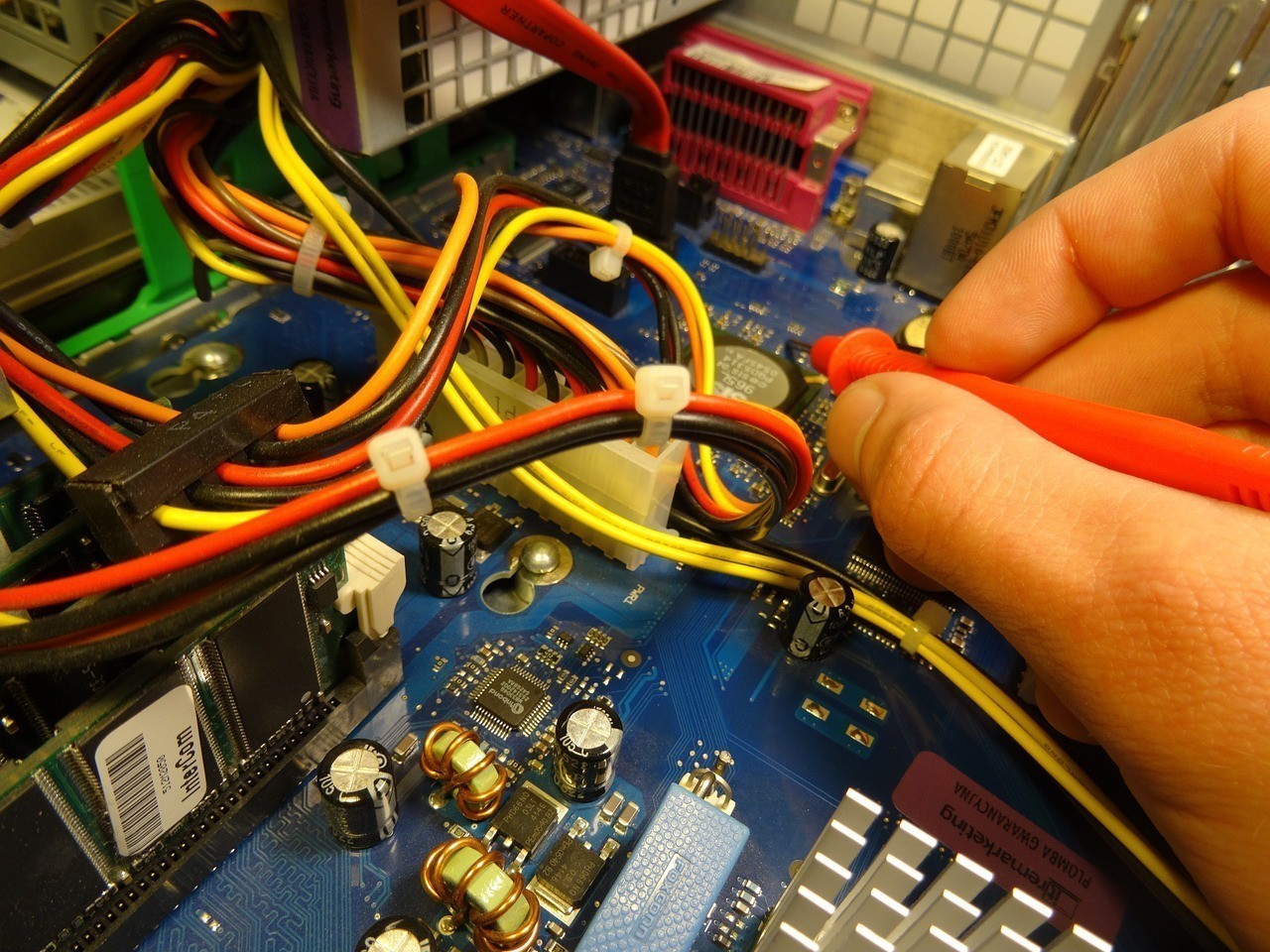 金龍魚價位（銀龍魚價格多少錢一只）