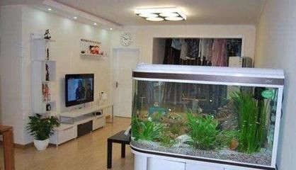 店內魚缸擺放位置示意圖（店內魚缸擺放位置建議）