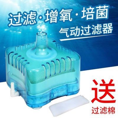 銀龍魚掉鱗片用什么藥治療（銀龍魚立鱗病用什么藥）