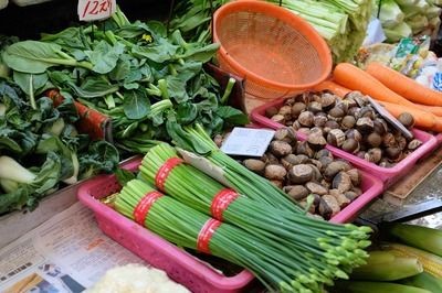 馬拉莫寶石魚混養龍魚，馬拉莫寶石魚與龍魚混養成功的案例