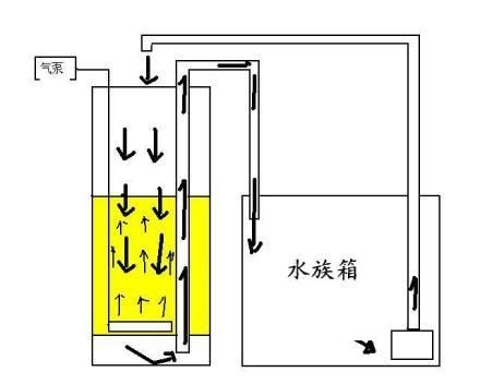 魚缸生態系統的構建了解魚缸生態系統的基本構成的基本構成：關于反氣舉魚缸效果圖的問題
