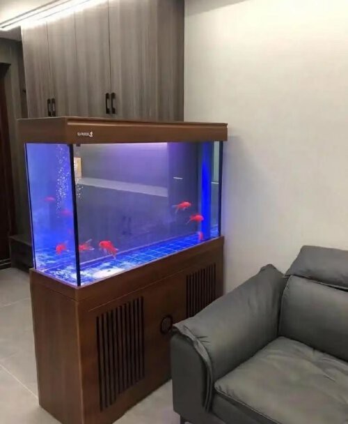一米二魚缸9條錦鯉