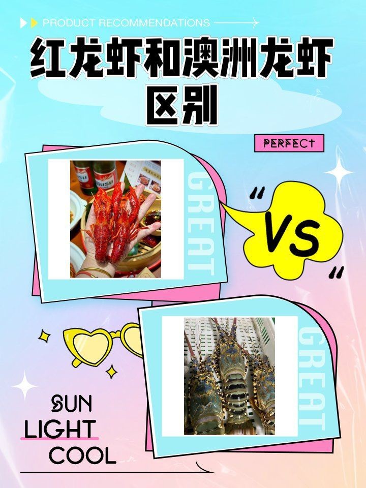 紅龍蝦和澳洲龍蝦區別